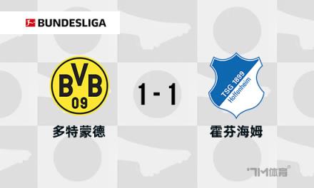 德甲：多特蒙德1-1霍芬海姆，雷納破門(mén)，拉爾森絕平