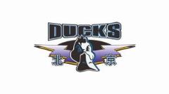 北京男籃轉(zhuǎn)發(fā)CBA官方《倡議書》呼吁球員共同維護聯(lián)賽尊嚴(yán)