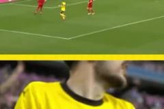 勇者無懼！這是真多特球迷！在拜仁球迷區(qū)一個人肆意慶祝！