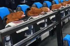 太有梗了！快船主場(chǎng)給觀眾發(fā)放帽子馬搞約基奇心態(tài)