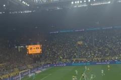 黃黑海洋！球迷視角看此前阿德耶米對(duì)陣?yán)潜?，替補(bǔ)完成梅開二度！